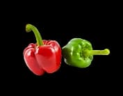 Bell Pepper